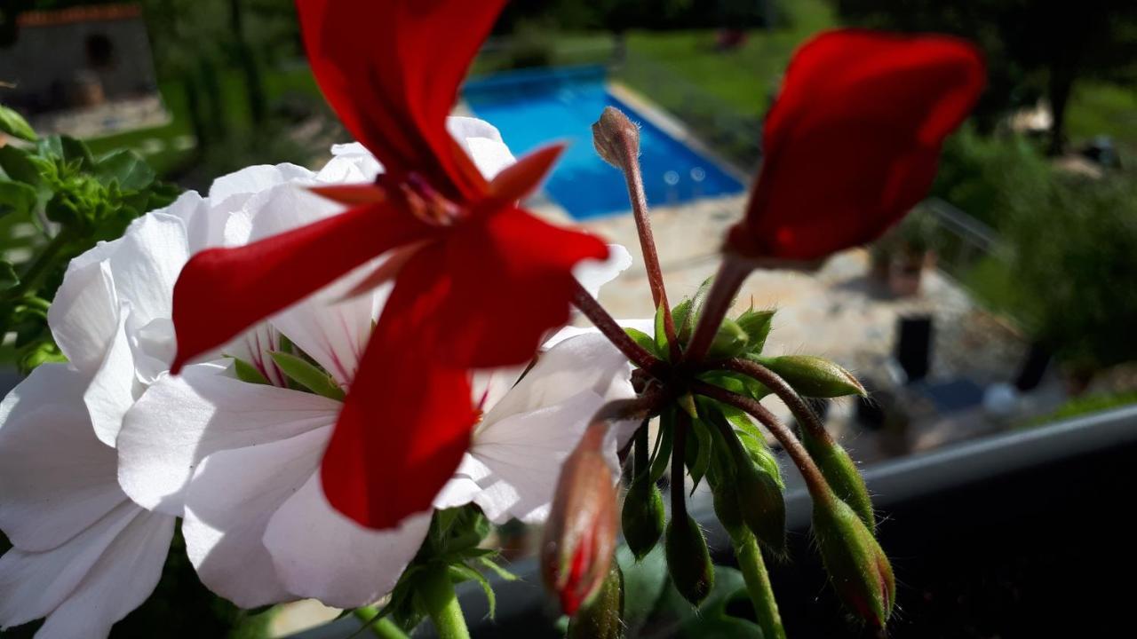 Pension Am Weinberg Bed & Breakfast Mainstockheim Екстер'єр фото