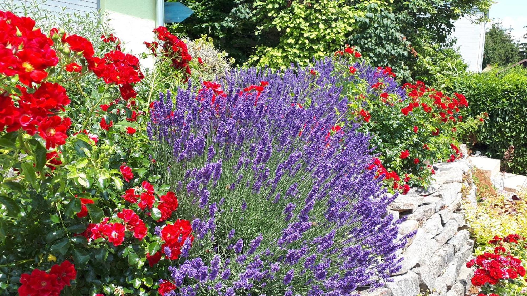 Pension Am Weinberg Bed & Breakfast Mainstockheim Екстер'єр фото