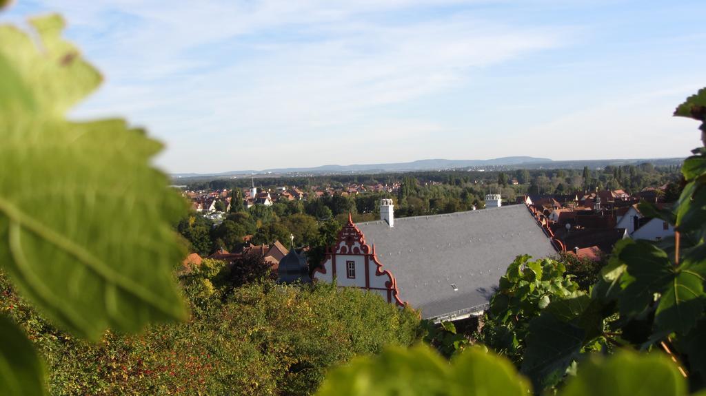 Pension Am Weinberg Bed & Breakfast Mainstockheim Екстер'єр фото